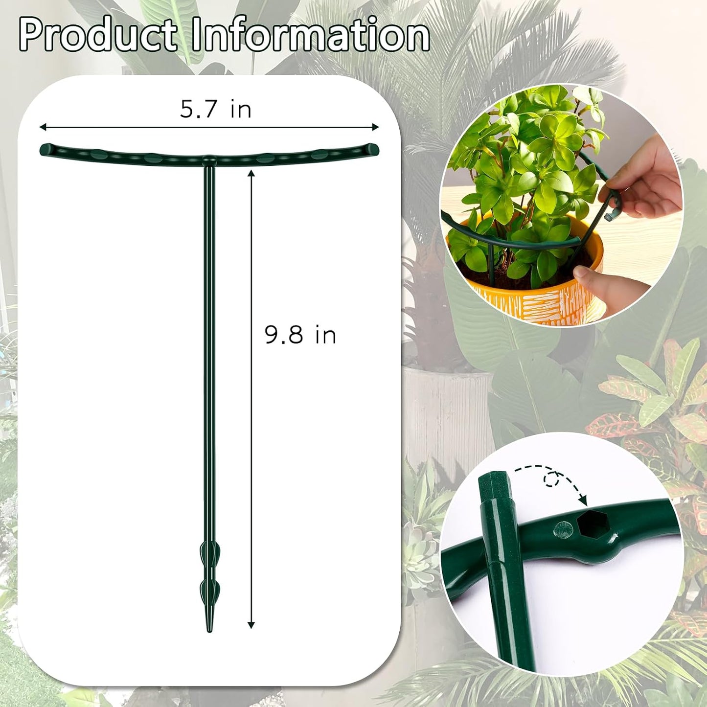 Plant Stakes Small Plant Supports for Indoor Plants Holder Sticks