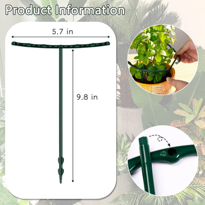 Plant Stakes Small Plant Supports for Indoor Plants Holder Sticks