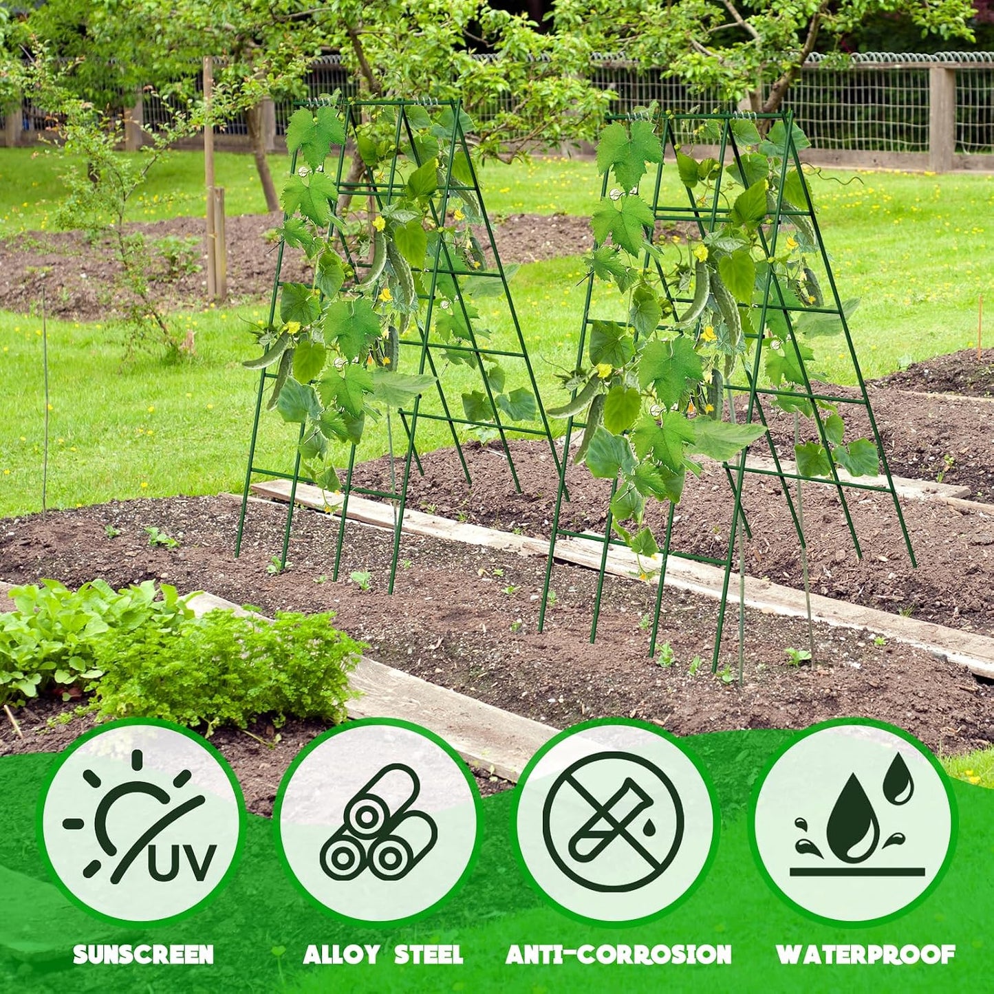 No Assembly Required Cucumber Trellis,2 Pack Trellis for Cucumbers,Outdoor Raised Bed Climbing Plant Support,A-Frame Garden Frame,Used for Vegetables,peas,Tomatoes,Squash,Melon and Fruit Frame