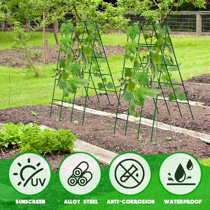 No Assembly Required Cucumber Trellis,2 Pack Trellis for Cucumbers,Outdoor Raised Bed Climbing Plant Support,A-Frame Garden Frame,Used for Vegetables,peas,Tomatoes,Squash,Melon and Fruit Frame