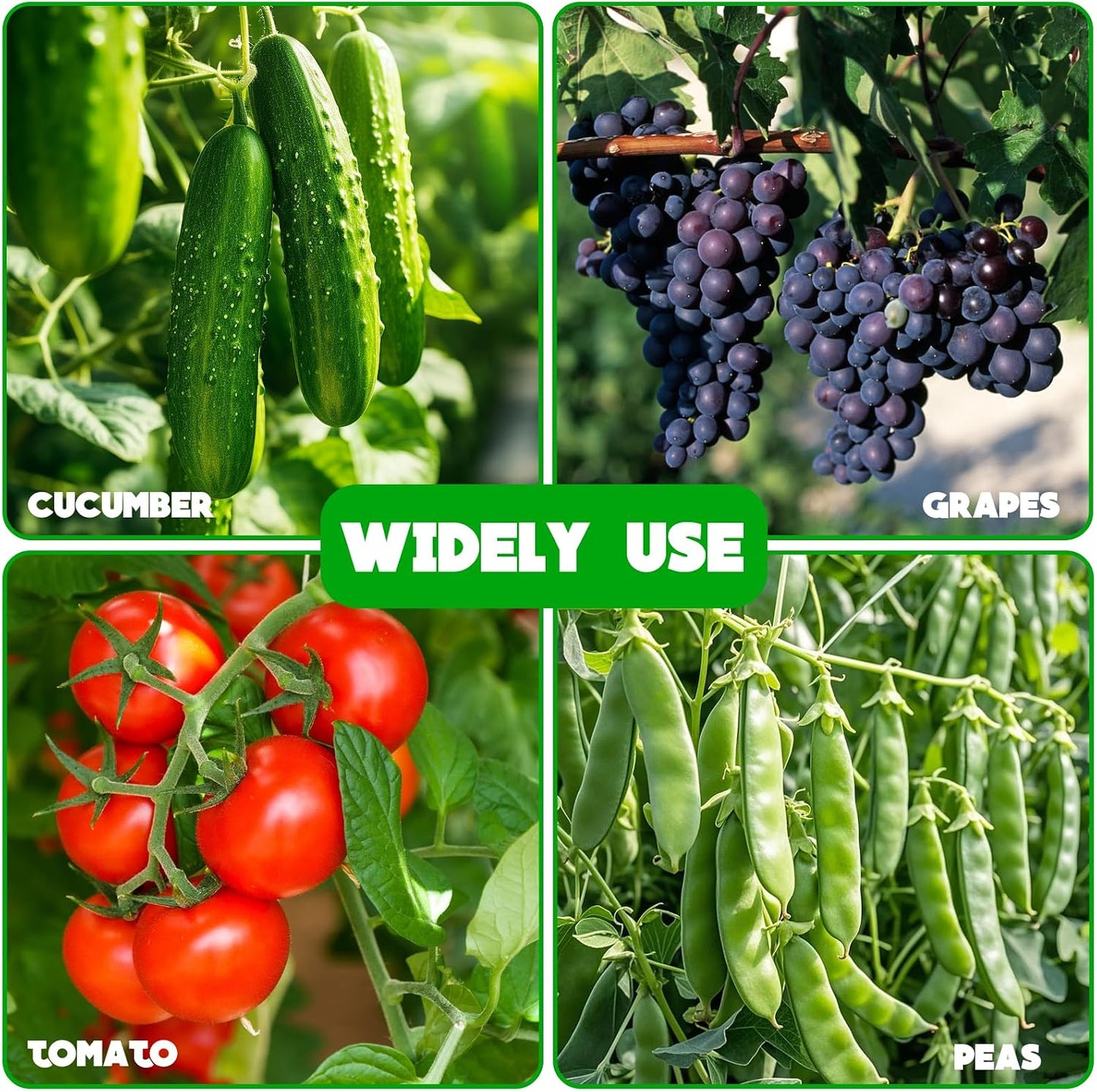 No Assembly Required Cucumber Trellis,2 Pack Trellis for Cucumbers,Outdoor Raised Bed Climbing Plant Support,A-Frame Garden Frame,Used for Vegetables,peas,Tomatoes,Squash,Melon and Fruit Frame