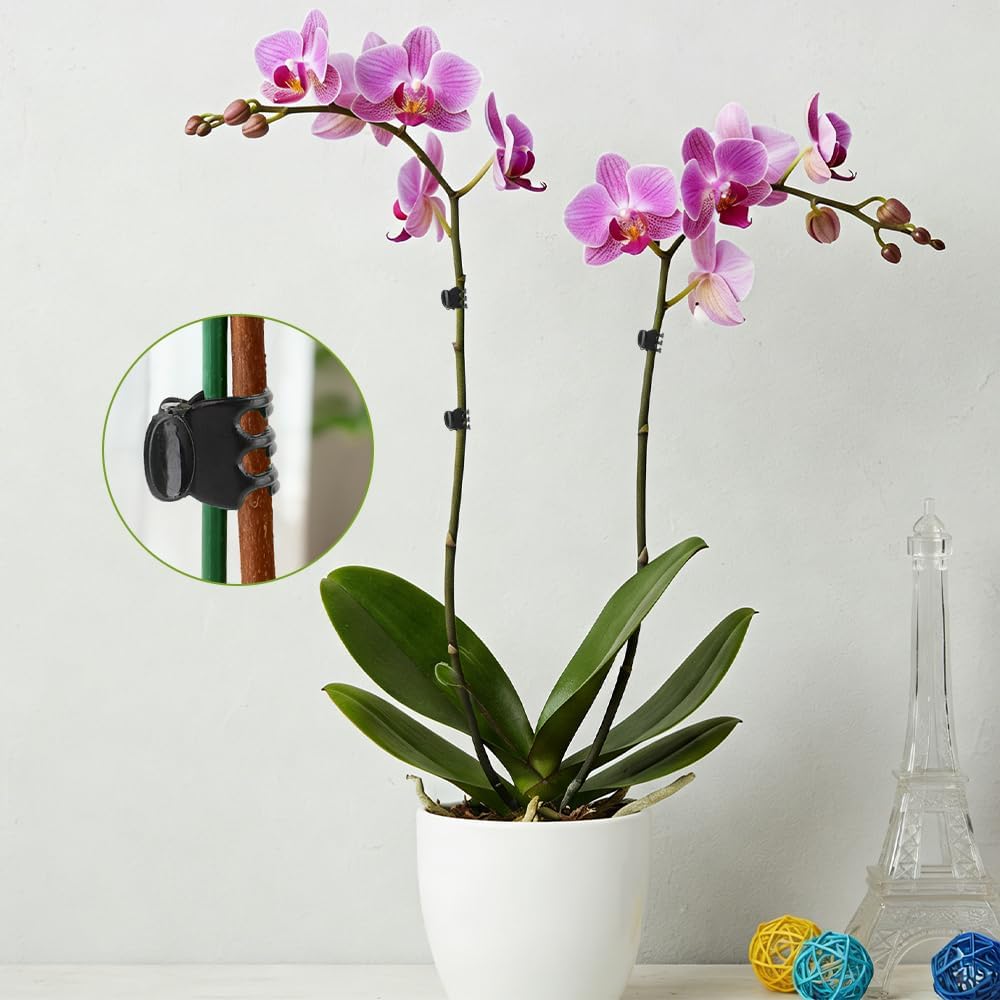 100 Pcs Plant Clips Orchid Plant Clips for Climbing Plants, Plastic Plant Support Clips Green Flower Vine Clips Tomato Trellis Clips for Supporting Vegetables Stems Vines Climbing Plant Grow Upright
