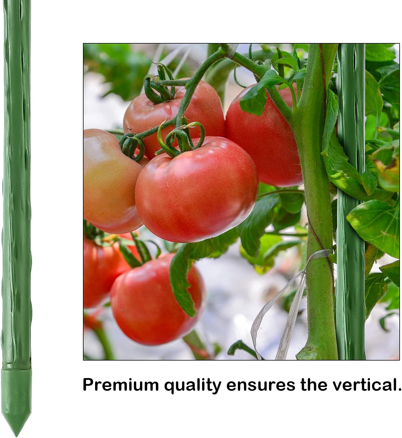 Garden Stakes 30 Inch 2.5ft 25 Pack,Sturdy Plant Metal Sticks Support,Plastic Coated Plant Stakes,Tomato Stakes,Beans,Trees