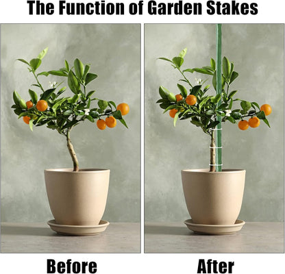 Garden Stakes 30 Inch 2.5ft 25 Pack,Sturdy Plant Metal Sticks Support,Plastic Coated Plant Stakes,Tomato Stakes,Beans,Trees