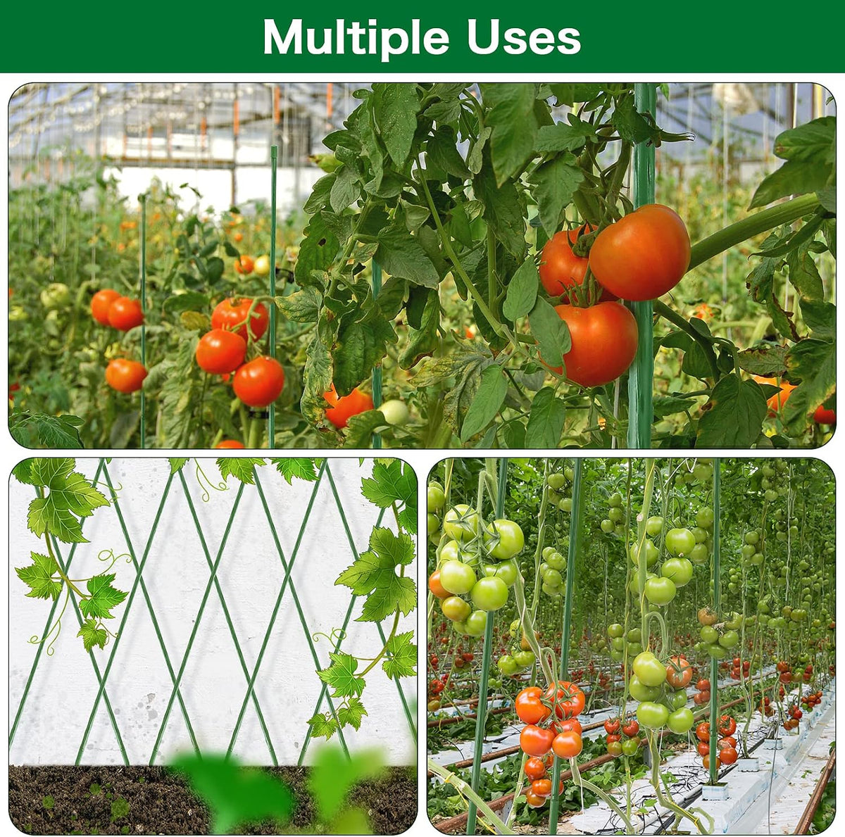 Garden Stakes 30 Inch 2.5ft 25 Pack,Sturdy Plant Metal Sticks Support,Plastic Coated Plant Stakes,Tomato Stakes,Beans,Trees