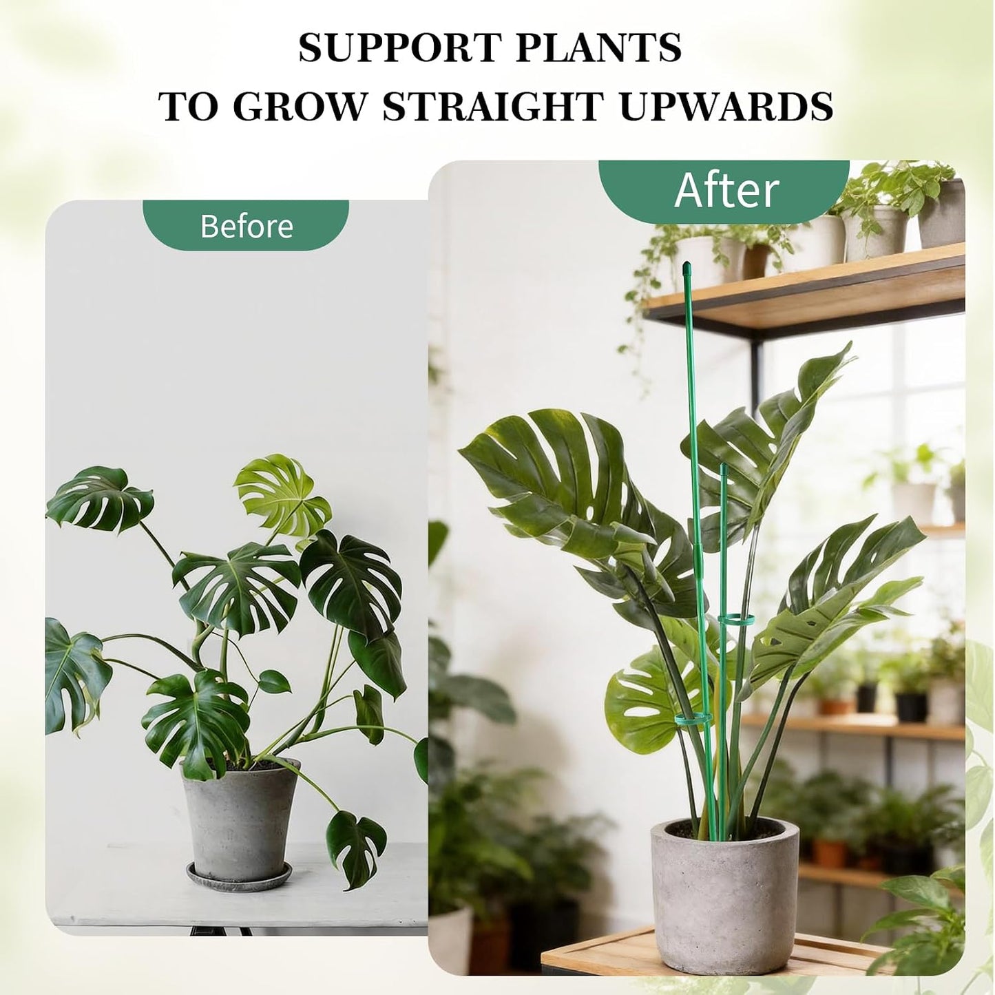 15" Plant Stackes for Indoor Plants, Adjustable Plant Support Stakes with Clips, Plant Sticks Support Tall for Indoor Orchid Monstera Tomato Potted Plants, Great Garden Stakes- 10pcs