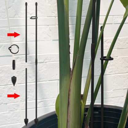 Plant Stakes for Indoor Plants, Plant Support Stakes, 14 Inch