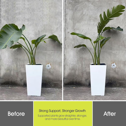 Plant Stakes for Indoor Plants, Plant Support Stakes, 14 Inch