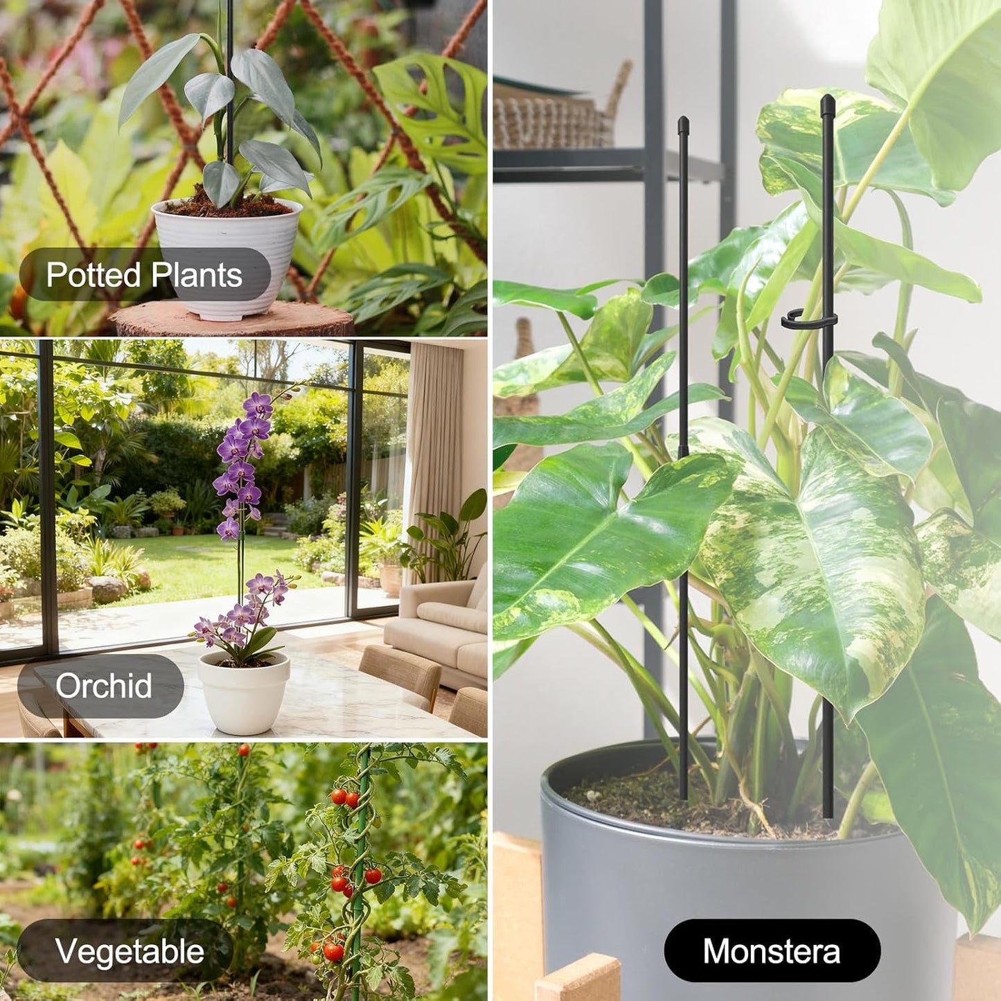Plant Stakes for Indoor Plants, Plant Support Stakes, 14 Inch