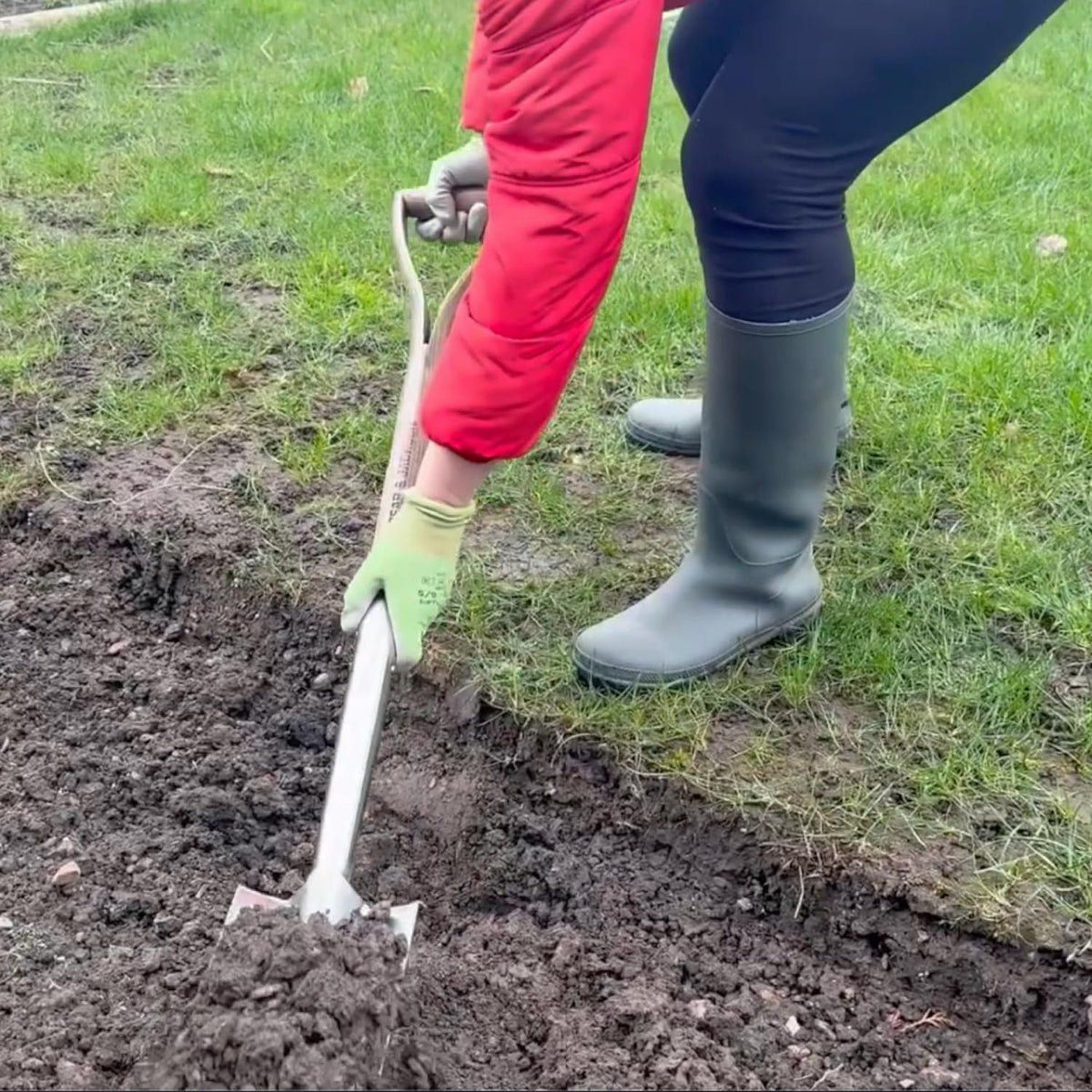 Traditional Stainless Steel Border Fork, Durable Heavy Duty Garden Tool, Ideal for Aerating Weeding and Digging, Comfortable Wooden Handle