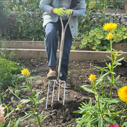 Traditional Stainless Steel Border Fork, Durable Heavy Duty Garden Tool, Ideal for Aerating Weeding and Digging, Comfortable Wooden Handle