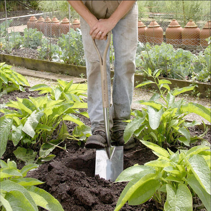 Traditional Stainless Steel Border Fork, Durable Heavy Duty Garden Tool, Ideal for Aerating Weeding and Digging, Comfortable Wooden Handle