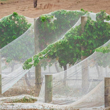 1N 6 x 7 Feet Insect Bird Barrier Netting Mesh with Drawstring, Garden Bug Netting Plant Cover for Protect Plant Fruits Flower from Insect Bird Eating