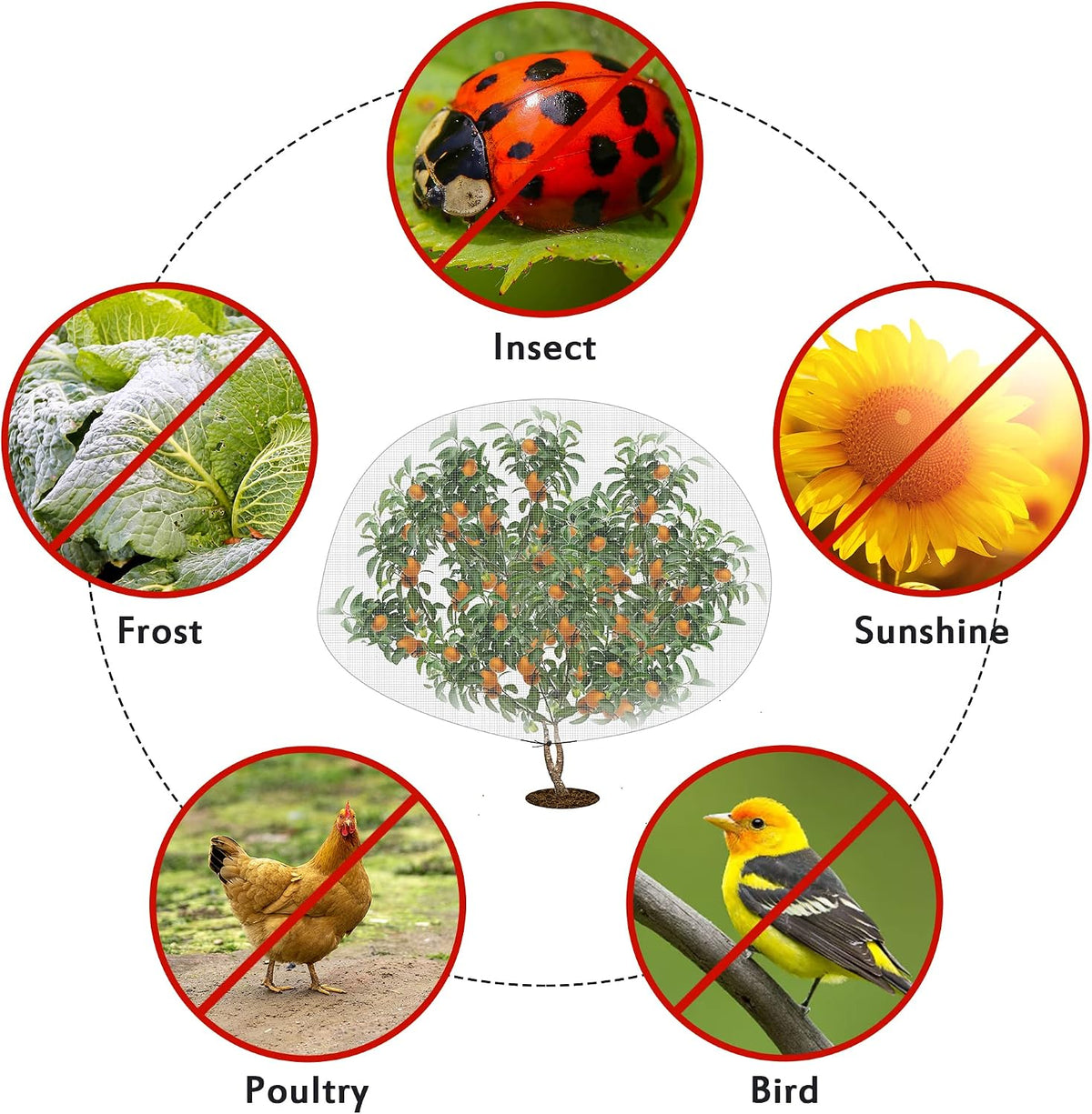 1N 6 x 7 Feet Insect Bird Barrier Netting Mesh with Drawstring, Garden Bug Netting Plant Cover for Protect Plant Fruits Flower from Insect Bird Eating