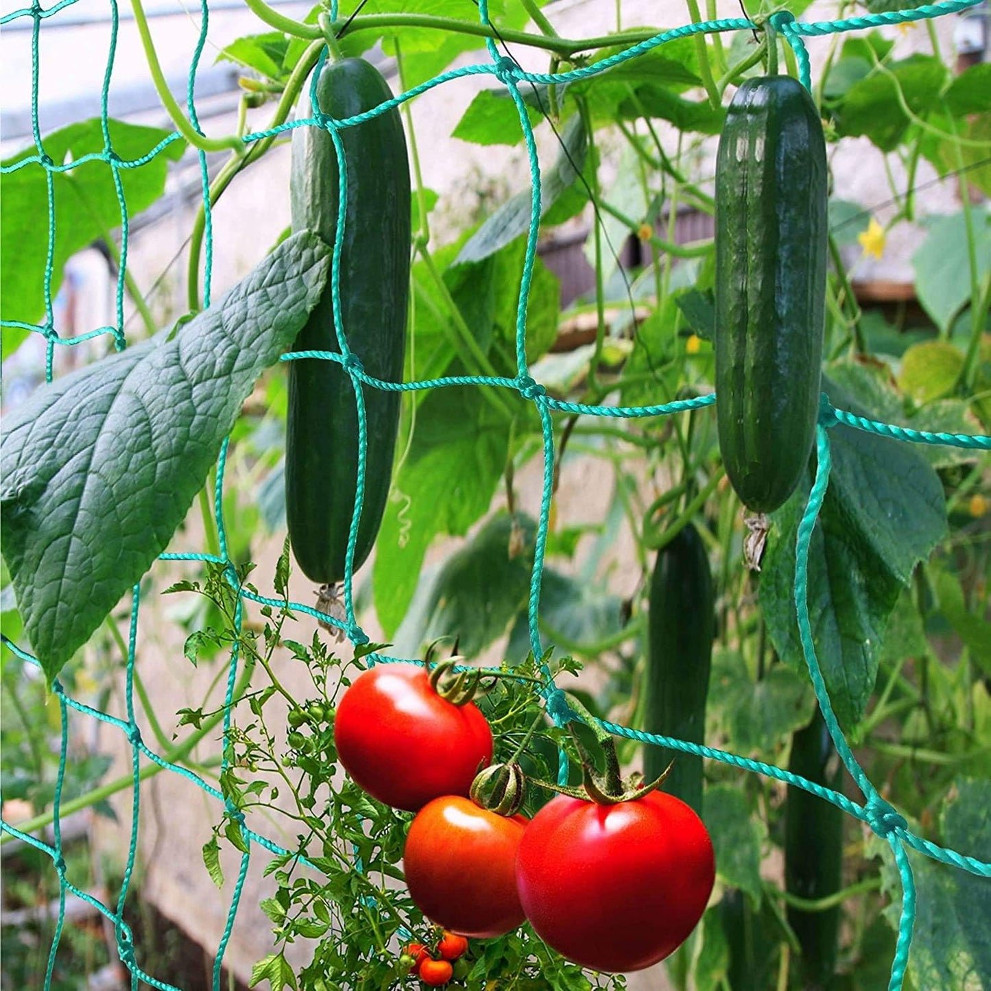 Trellis Netting for Climbing Plants - Heavy Duty Garden Trellis Netting for Cucumber, Vine, Fruits & Vegetables Tomato Plants Trellis Net, Climbing Vining Plants (1-Pack 32.8' x 6.6'Ft)