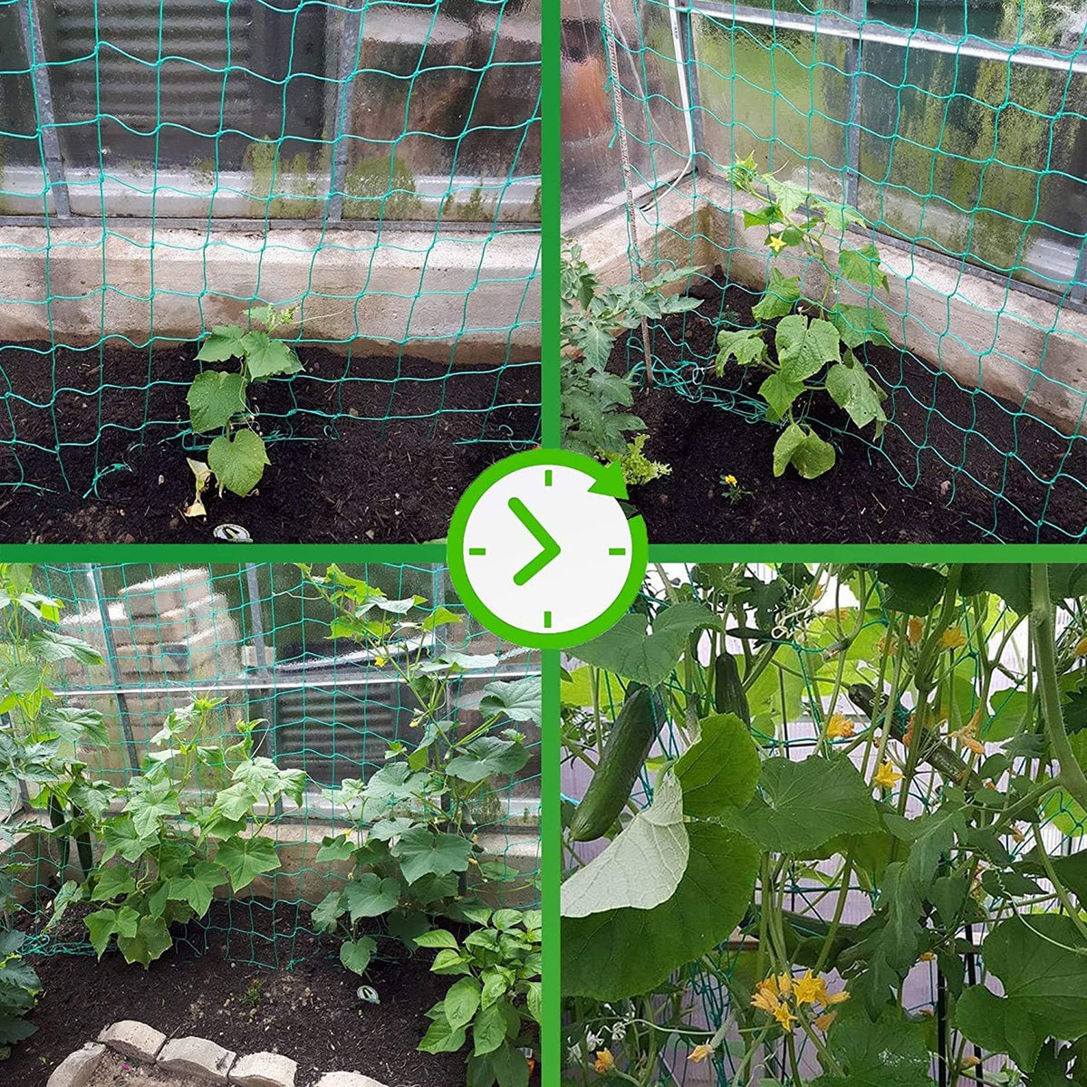 Trellis Netting for Climbing Plants - Heavy Duty Garden Trellis Netting for Cucumber, Vine, Fruits & Vegetables Tomato Plants Trellis Net, Climbing Vining Plants (1-Pack 32.8' x 6.6'Ft)