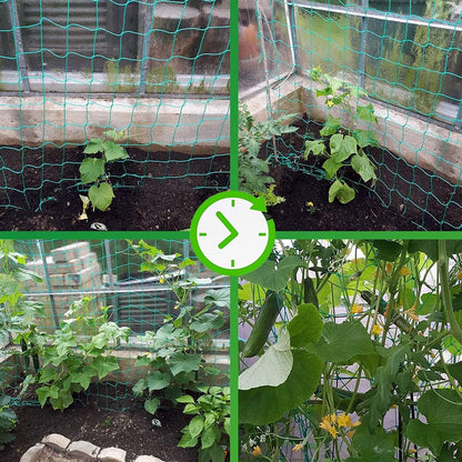 Trellis Netting for Climbing Plants - Heavy Duty Garden Trellis Netting for Cucumber, Vine, Fruits & Vegetables Tomato Plants Trellis Net, Climbing Vining Plants (1-Pack 32.8' x 6.6'Ft)