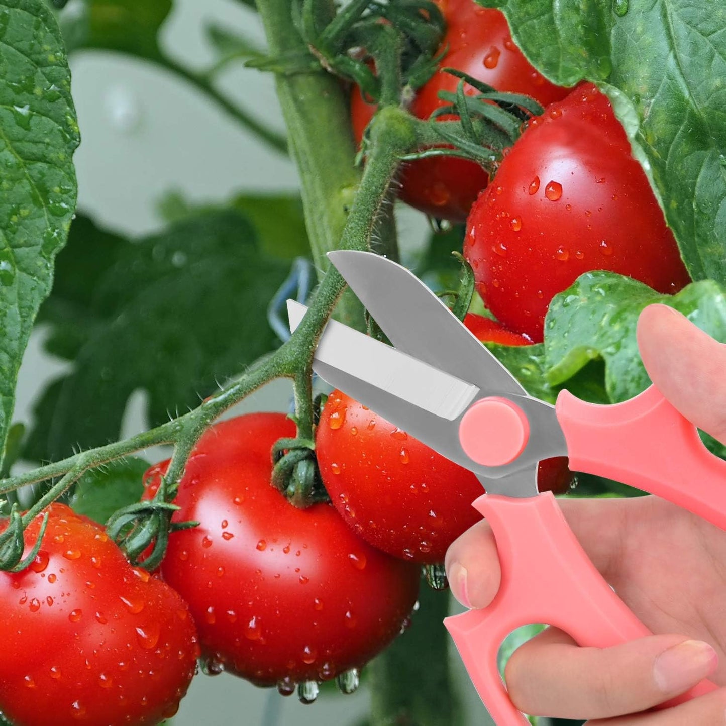 Flower Scissors, Premium Steel Garden Pruning Shears, Pink