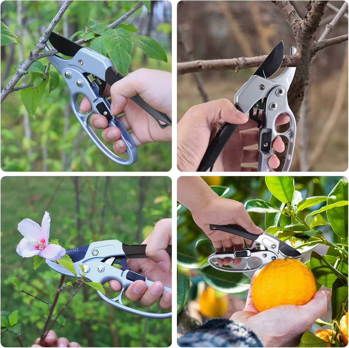 Premium garden shears, pruning scissors gardening tools, pruners for flower, bushes, rose and fruit tree, use for florist, yard and orchard the plant clippers, sharp steel anvil snips