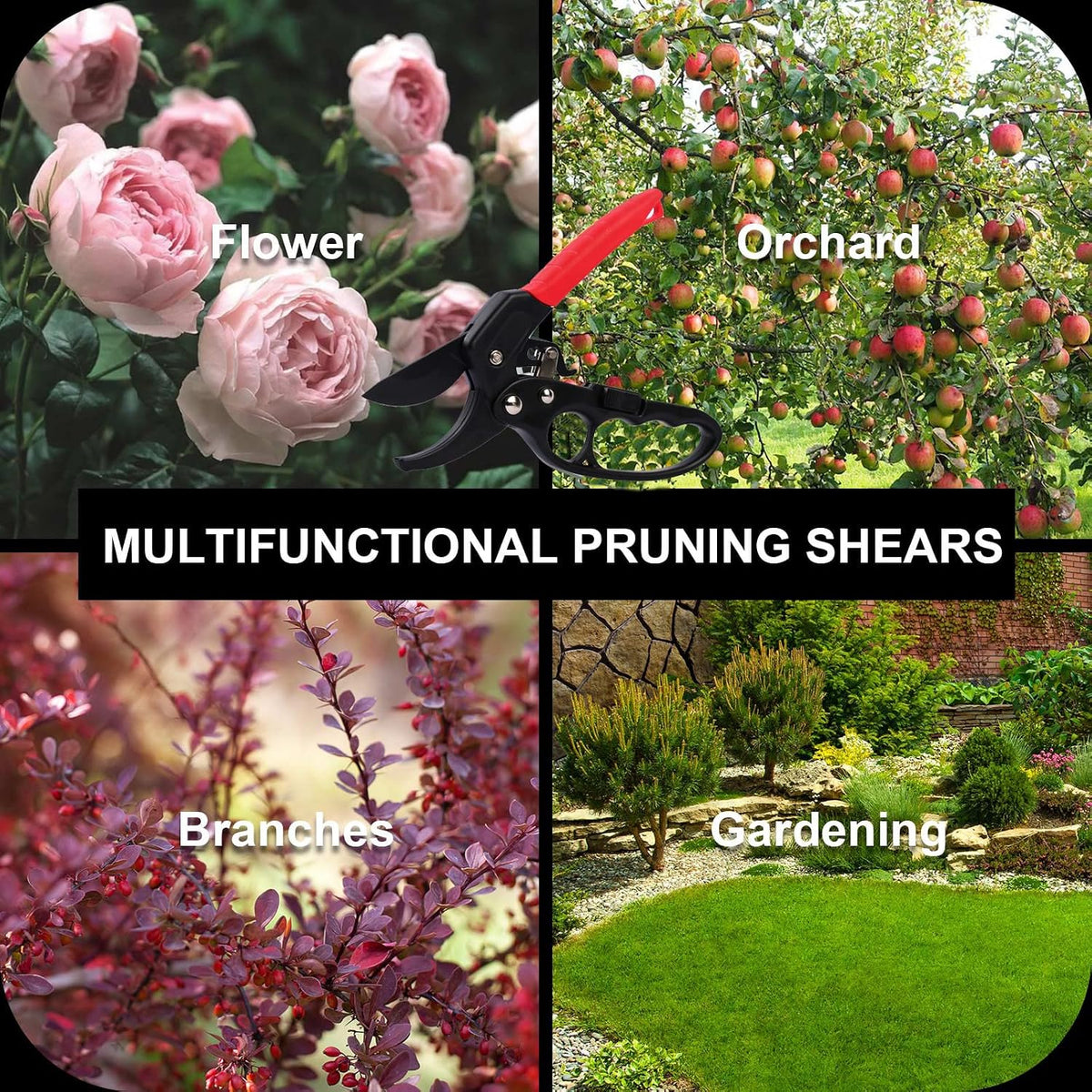 Premium garden shears, pruning scissors gardening tools, pruners for flower, bushes, rose and fruit tree, use for florist, yard and orchard the plant clippers, sharp steel anvil snips