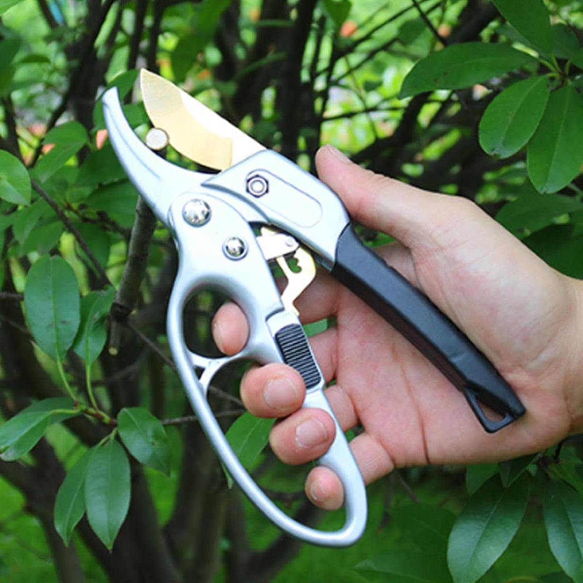 Premium garden shears, pruning scissors gardening tools, pruners for flower, bushes, rose and fruit tree, use for florist, yard and orchard the plant clippers, sharp steel anvil snips