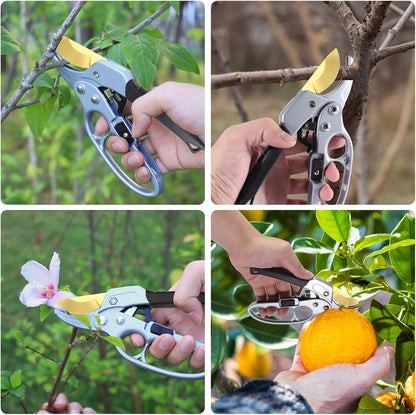Premium garden shears, pruning scissors gardening tools, pruners for flower, bushes, rose and fruit tree, use for florist, yard and orchard the plant clippers, sharp steel anvil snips