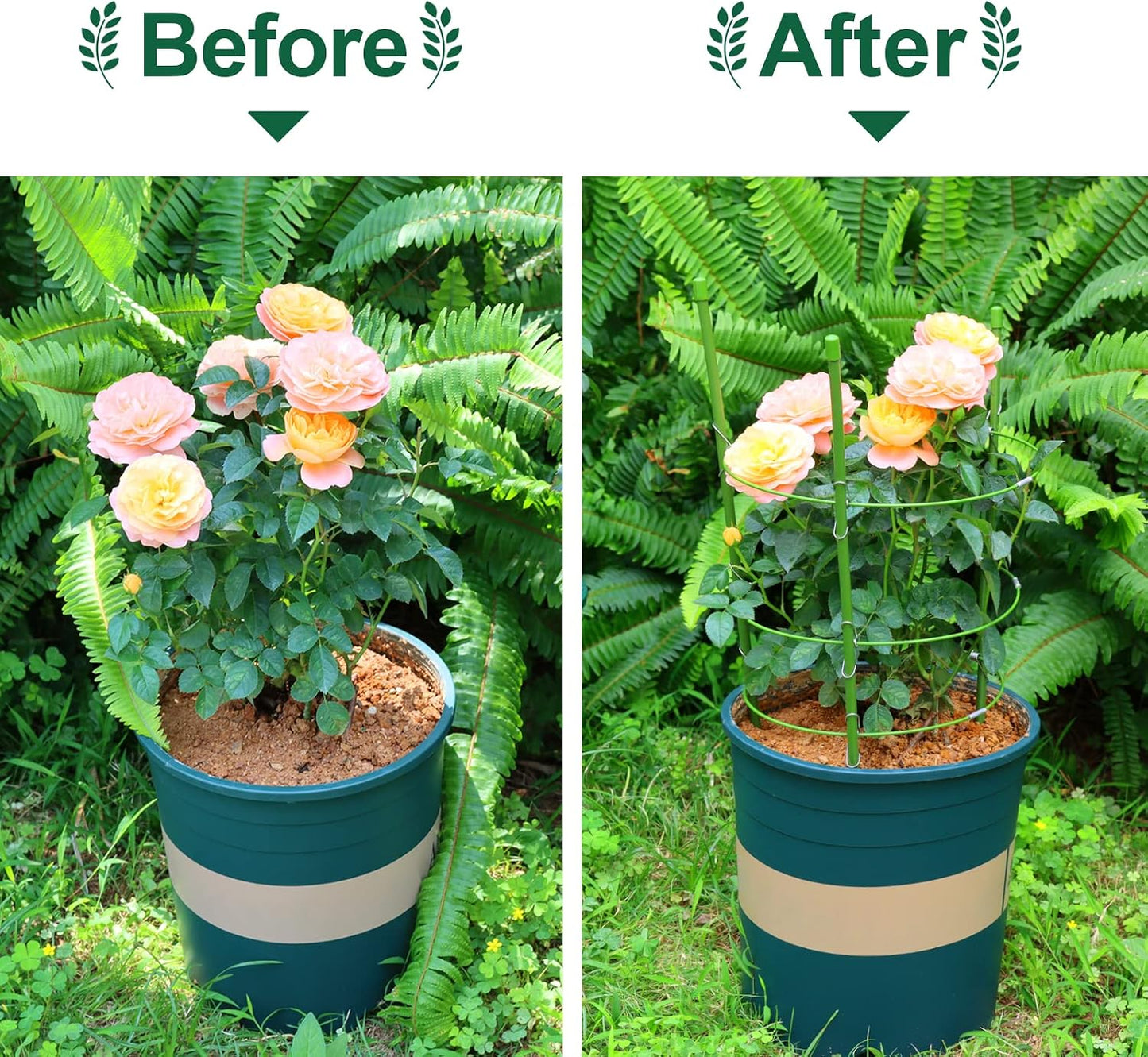 4 PCS Metal Plant Cages, Tomato Cages, Metal Garden Plant Supports, Plant Trellis, Plant Stakes for Tomato, Climbing Plant, Flower, Seedlings, 17.7" High, 7.1"/7.87"/8.66" Inner Diameter