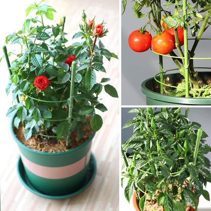 4 PCS Metal Plant Cages, Tomato Cages, Metal Garden Plant Supports, Plant Trellis, Plant Stakes for Tomato, Climbing Plant, Flower, Seedlings, 17.7" High, 7.1"/7.87"/8.66" Inner Diameter