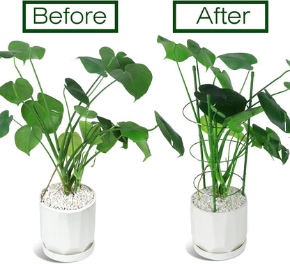4 PCS Metal Plant Cages, Tomato Cages, Metal Garden Plant Supports, Plant Trellis, Plant Stakes for Tomato, Climbing Plant, Flower, Seedlings, 17.7" High, 7.1"/7.87"/8.66" Inner Diameter