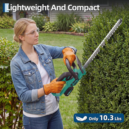 20V 2-in-1 Cordless Hedge Trimmer with 2 Batteries