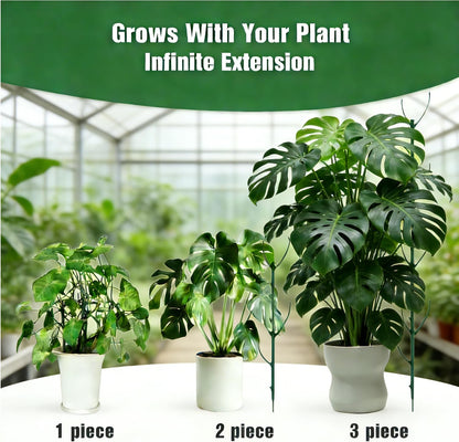 Tree Branch Plant Support Stakes – Stackable Plant Support Sticks with Clips & Velcro Tie – Natural Aesthetic Extendable Trellis for Indoor Plants, Monstera, Pot (Green-12 Pack)