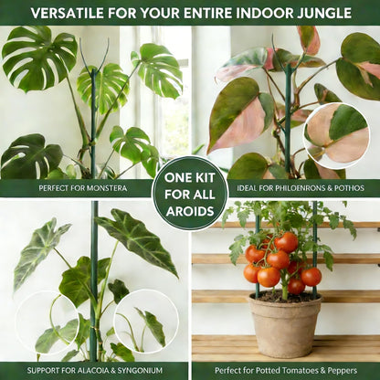 Tree Branch Plant Support Stakes – Stackable Plant Support Sticks with Clips & Velcro Tie – Natural Aesthetic Extendable Trellis for Indoor Plants, Monstera, Pot (Green-12 Pack)