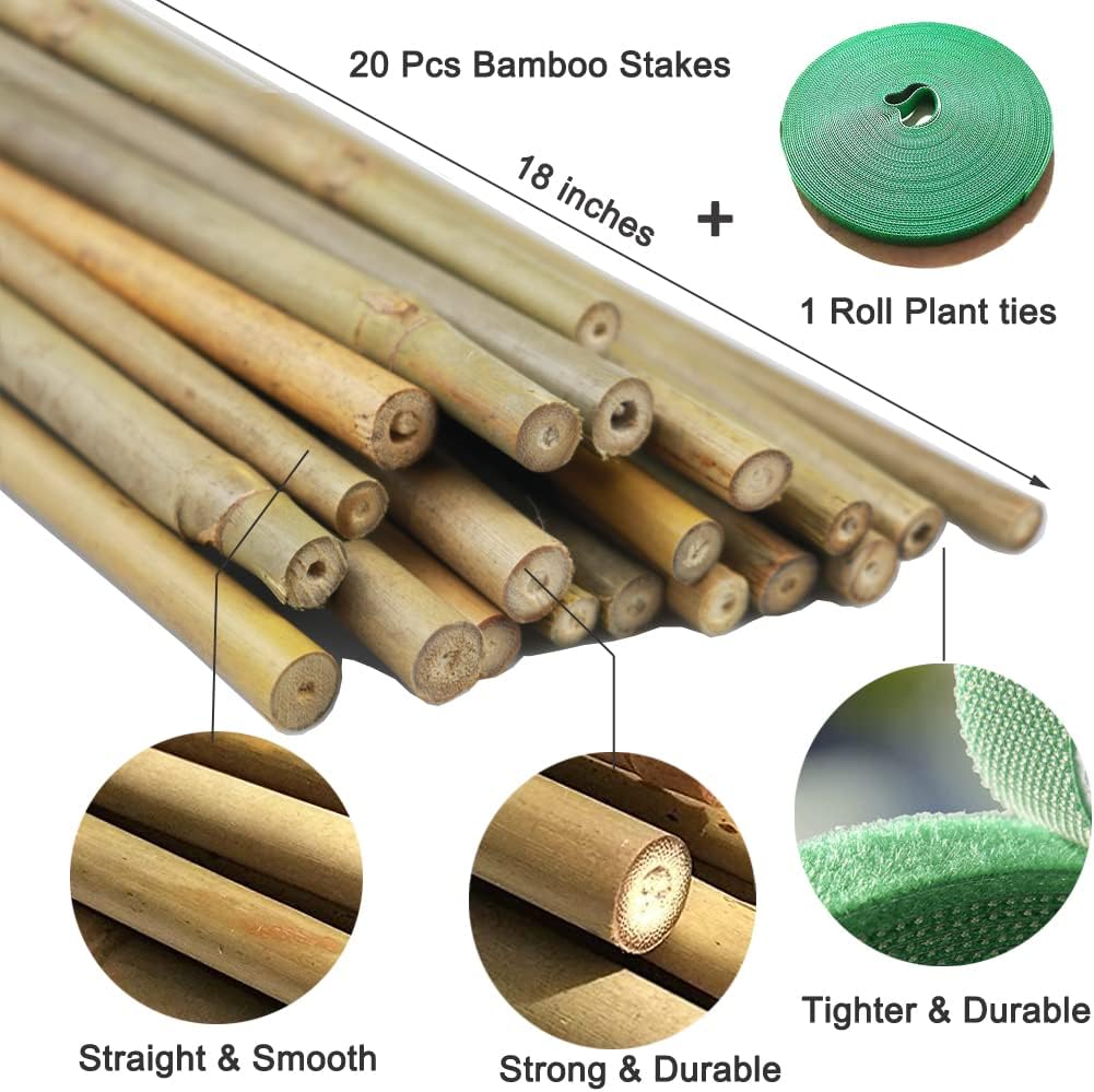 20 Pcs Natural Bamboo Stakes + 1 Roll Garden Ties, 18 Inches Bamboo Sticks Gardening Plant Support Stakes for Indoor Plants, Tomato, Potted Plants