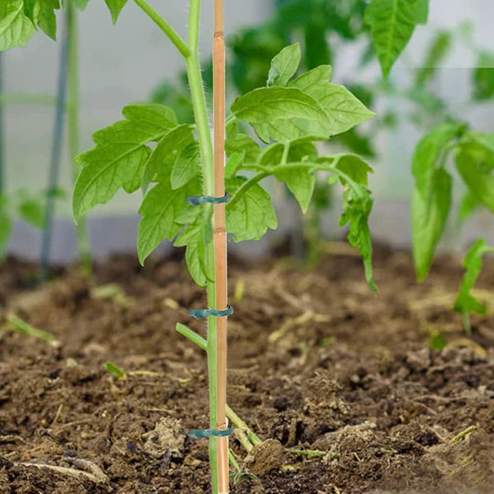 20 Pcs Natural Bamboo Stakes + 1 Roll Garden Ties, 18 Inches Bamboo Sticks Gardening Plant Support Stakes for Indoor Plants, Tomato, Potted Plants