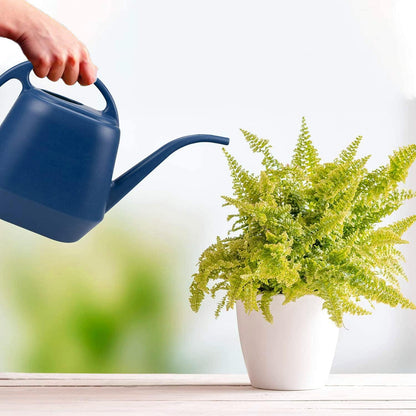Plastic Watering Can, Blue, 1-Gallon