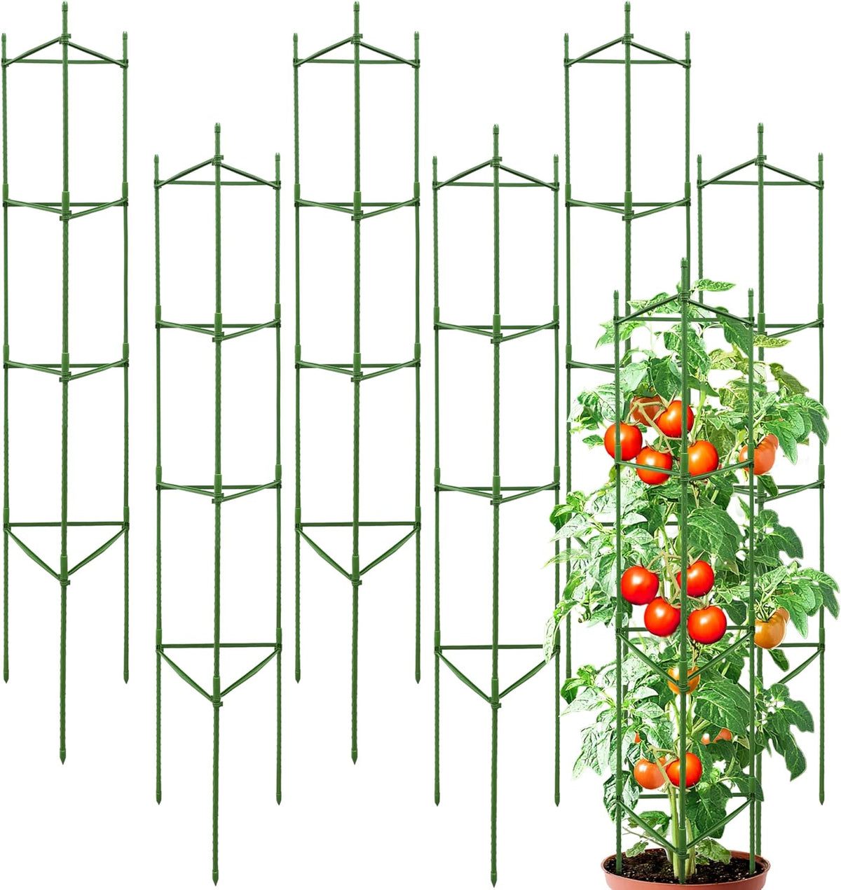 63-Inch Heavy Duty Tomato Cages, 6-Pack Extra Tall Metal Tomato Trellis, Steel Tube Plant Cage for Indeterminate Tomatoes, Cucumbers, Pole Beans – Rust-Proof Coated
