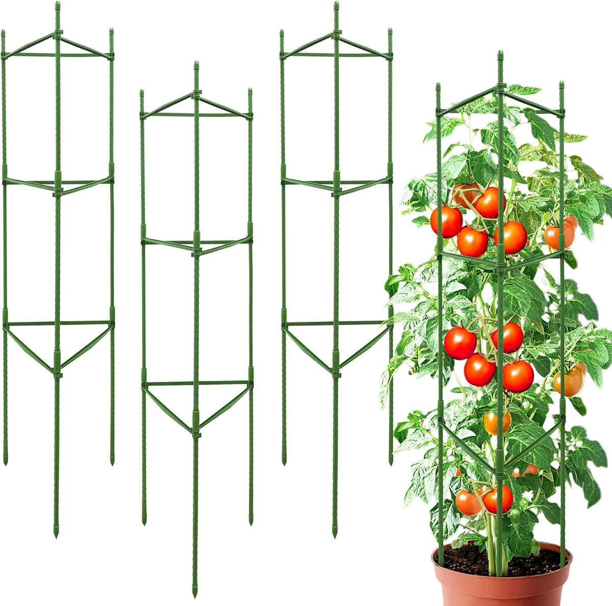 63-Inch Heavy Duty Tomato Cages, 6-Pack Extra Tall Metal Tomato Trellis, Steel Tube Plant Cage for Indeterminate Tomatoes, Cucumbers, Pole Beans – Rust-Proof Coated