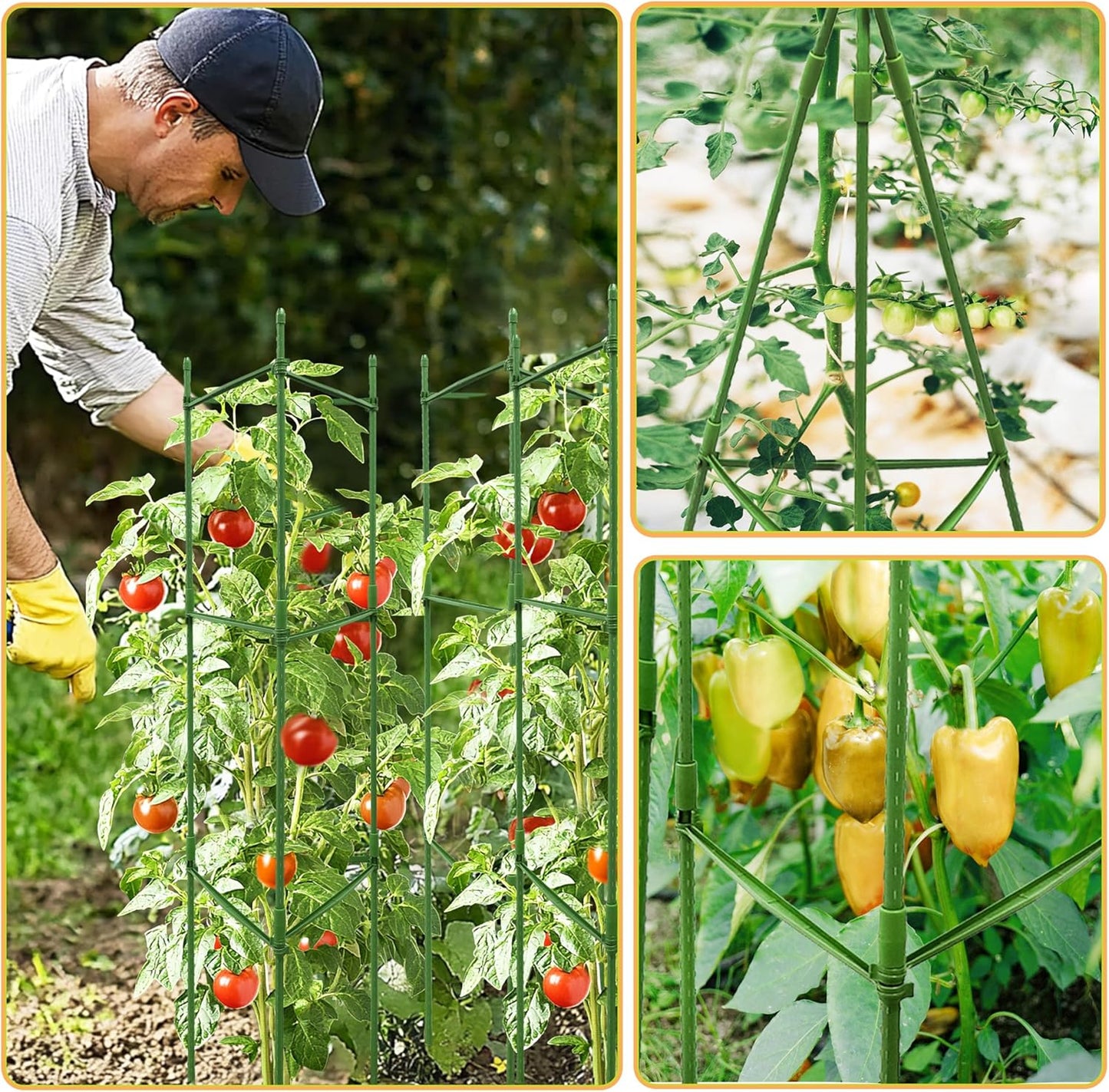 63-Inch Heavy Duty Tomato Cages, 6-Pack Extra Tall Metal Tomato Trellis, Steel Tube Plant Cage for Indeterminate Tomatoes, Cucumbers, Pole Beans – Rust-Proof Coated