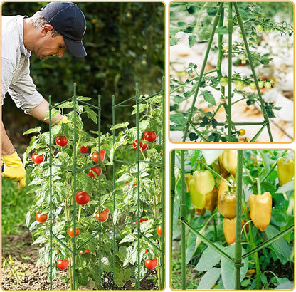 63-Inch Heavy Duty Tomato Cages, 6-Pack Extra Tall Metal Tomato Trellis, Steel Tube Plant Cage for Indeterminate Tomatoes, Cucumbers, Pole Beans – Rust-Proof Coated