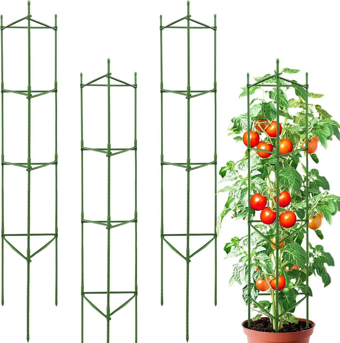 63-Inch Heavy Duty Tomato Cages, 6-Pack Extra Tall Metal Tomato Trellis, Steel Tube Plant Cage for Indeterminate Tomatoes, Cucumbers, Pole Beans – Rust-Proof Coated