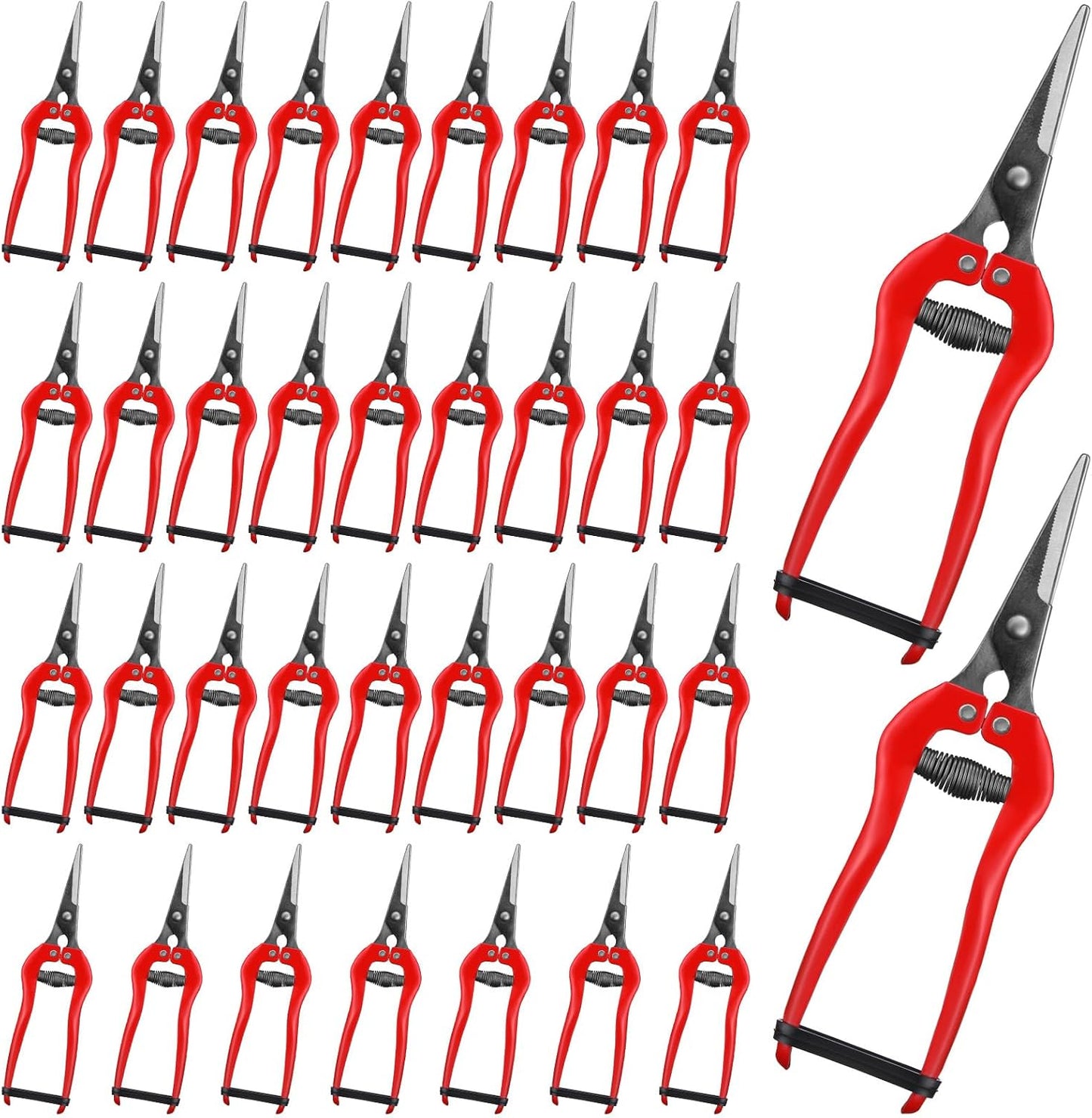 36 Pcs Straight Pruning Shears Florist Multi-tasking Garden Scissor Leaf Trimmer Floral Fruits Picking Sharp Gardening Snips for Arranging Flowers Harvesting Herbs Fruits Vegetables