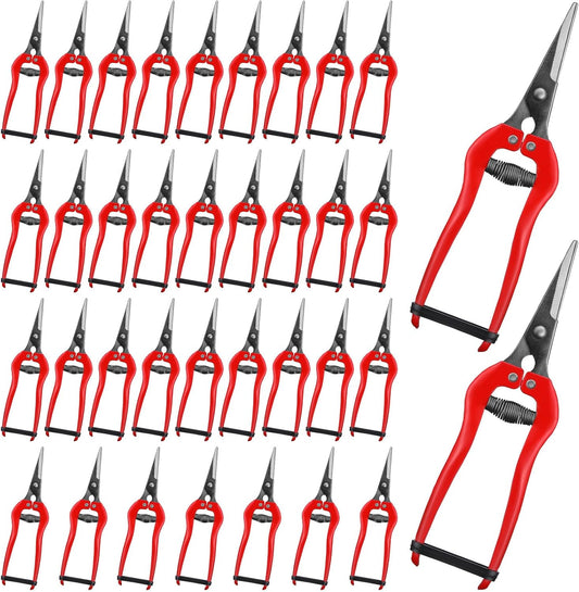 36 Pcs Straight Pruning Shears Florist Multi-tasking Garden Scissor Leaf Trimmer Floral Fruits Picking Sharp Gardening Snips for Arranging Flowers Harvesting Herbs Fruits Vegetables