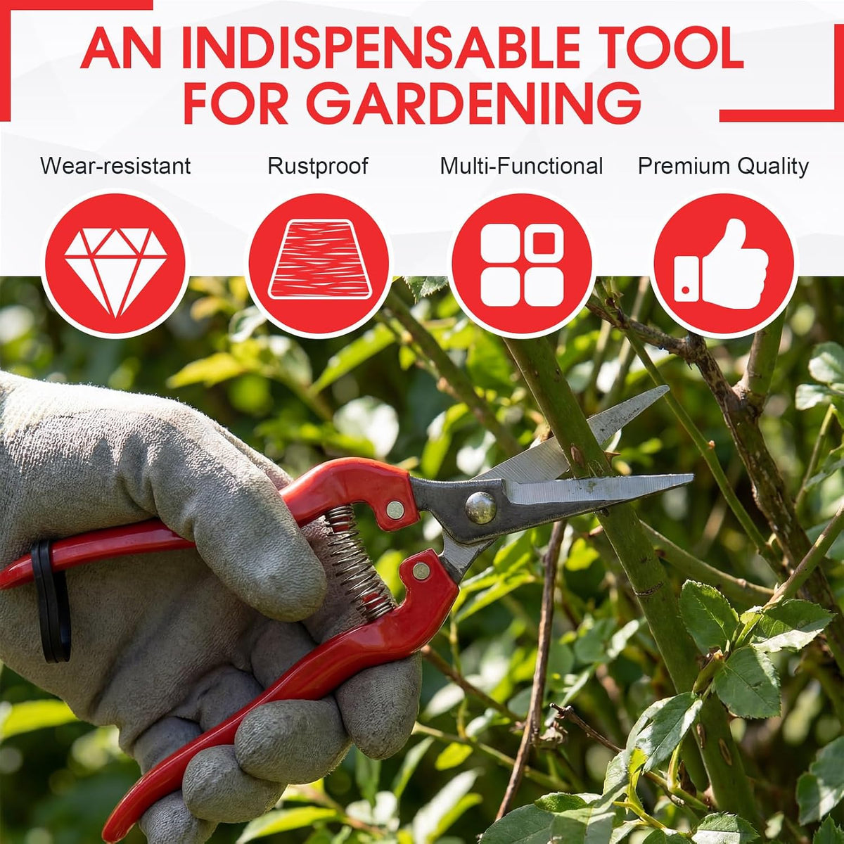 36 Pcs Straight Pruning Shears Florist Multi-tasking Garden Scissor Leaf Trimmer Floral Fruits Picking Sharp Gardening Snips for Arranging Flowers Harvesting Herbs Fruits Vegetables