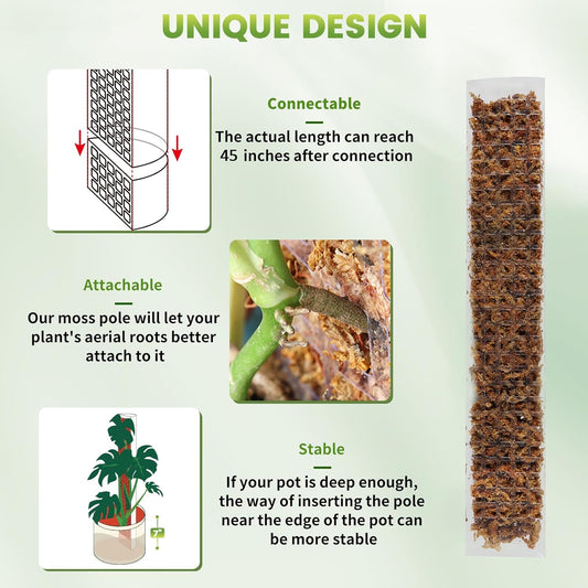 Plastic Moss Pole for Monstera and Climbing Plants, 24-Inch, 4-Pack