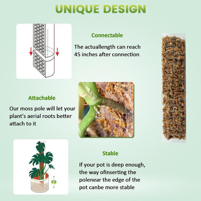 Plastic Moss Pole for Monstera and Climbing Plants, 24-Inch, 4-Pack