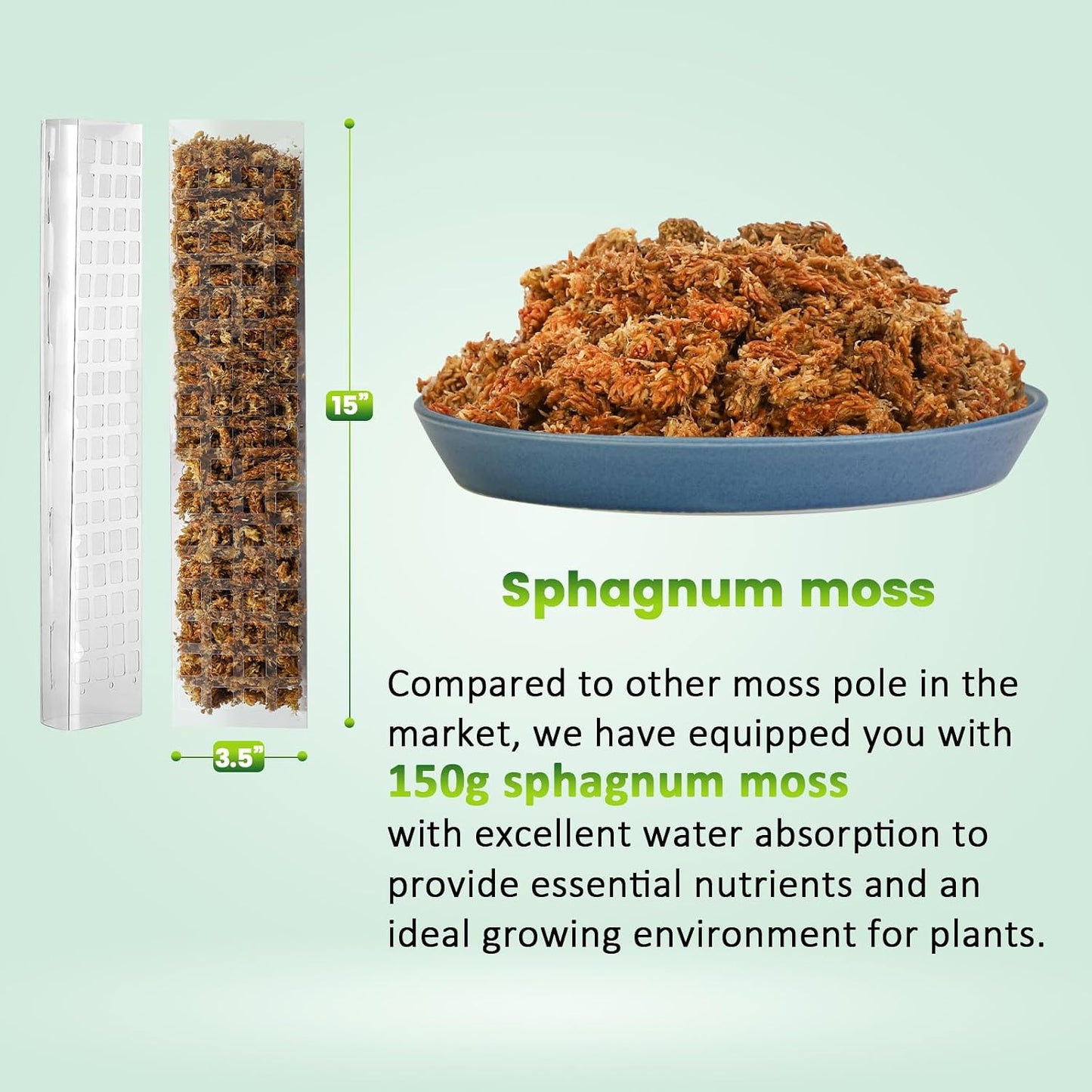Plastic Moss Pole for Monstera and Climbing Plants, 24-Inch, 4-Pack