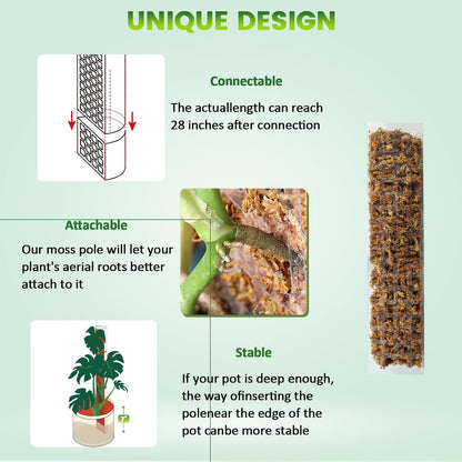 Plastic Moss Pole for Monstera and Climbing Plants, 24-Inch, 4-Pack