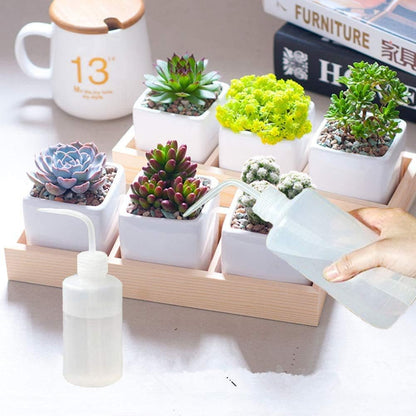 Wash Bottle 2pcs 250ml/8oz Safety Bottles Watering Tools, Economy Plastic Squeeze with Narrow Mouth Scale Labels for Medical Succulent Cleaning Washing