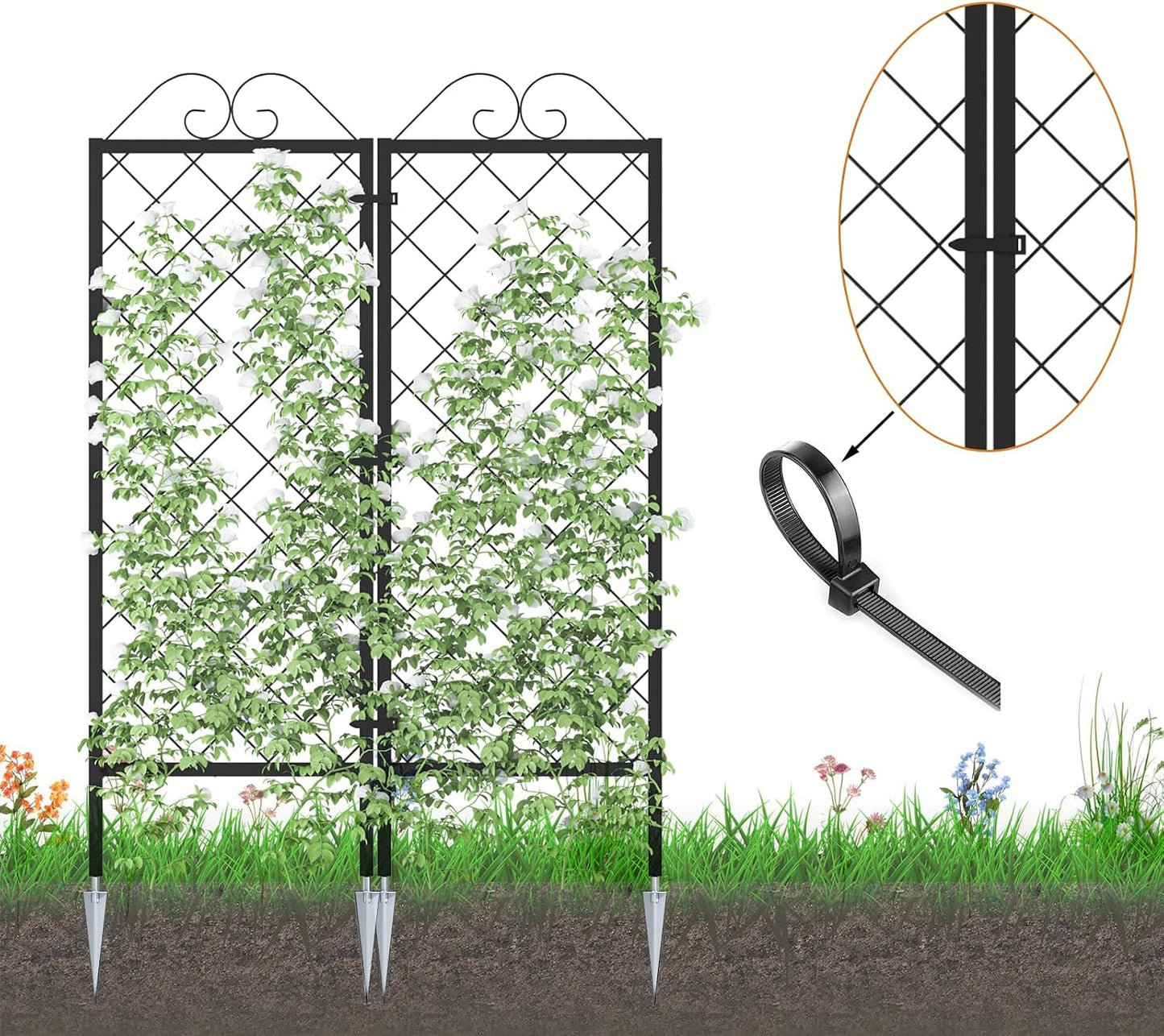 2 Pack Metal Garden Trellises for Climbing Plants, 53.5 Inch Tall Metal Fence Plant Support Trellis for Flower and Vagetable