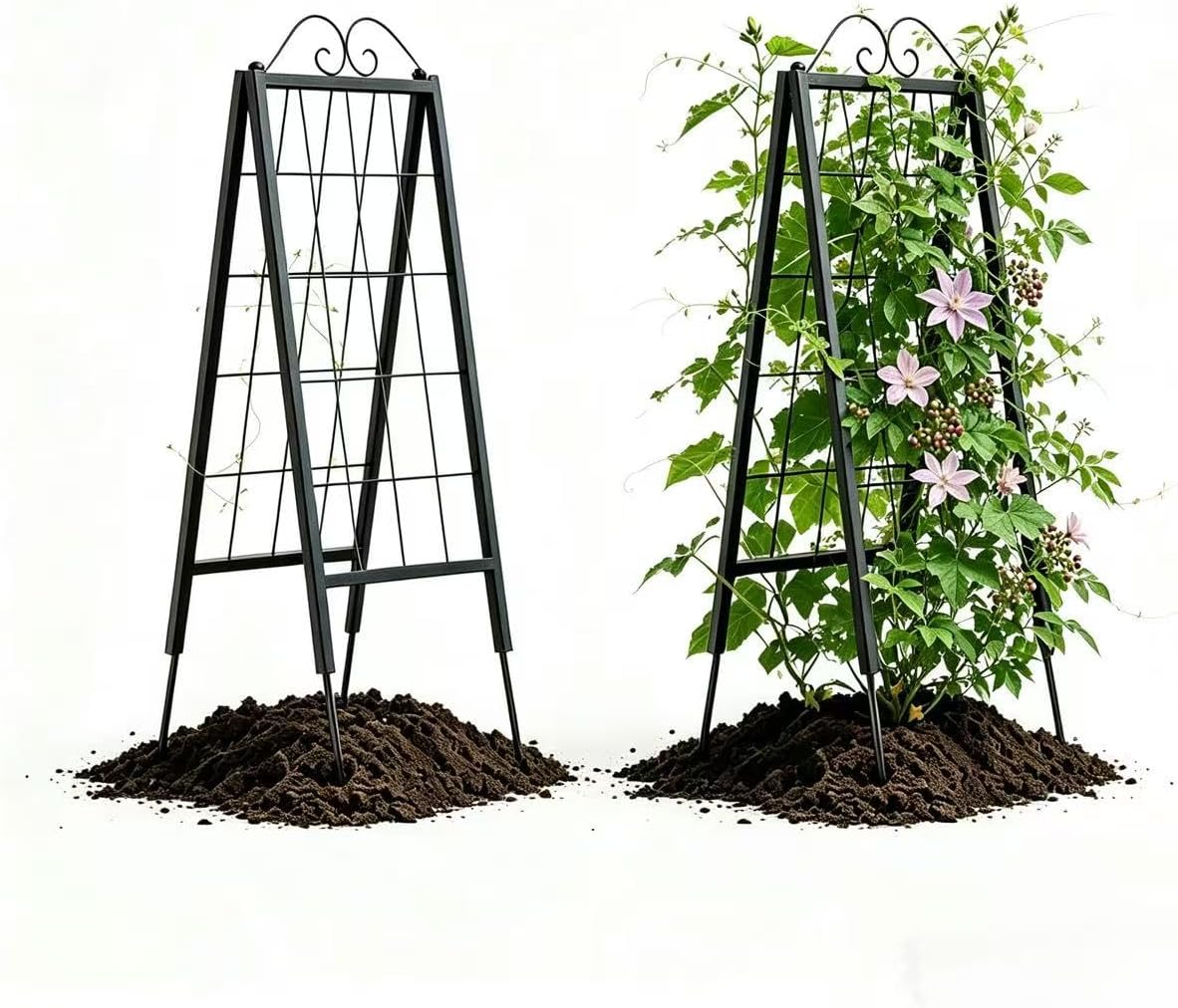 2 Pack Metal Garden Trellises for Climbing Plants, 53.5 Inch Tall Metal Fence Plant Support Trellis for Flower and Vagetable